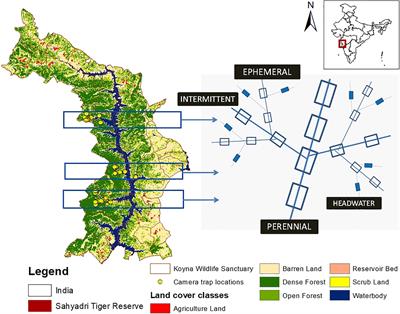 Mammal Persistence Along Riparian Forests in Western India Within a Hydropower Reservoir 55 Years Post Construction